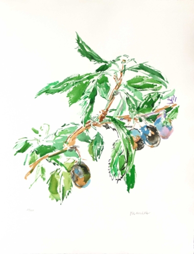 PFLAUMENZWEIG - 1971, Farblithographie, Exemplar 100/150, ca. 51,5 x 47,5 cm (76 x 56 cm), Wingler/Welz 527 Kokoschka Oskar