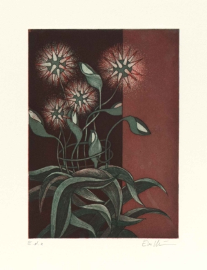 EVA MÖSENEDER, STERNGEWÄCHS - 2010, Aquatintaradierung, 27,7 x 19,9 cm (50 x 33,6 cm) Möseneder Eva