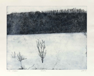 SUSANNE POHL, EISFLÄCHE - 2018, Radierung, 39,2 x 49,3 cm (49,5 x 62,3 cm) Pohl Susanne