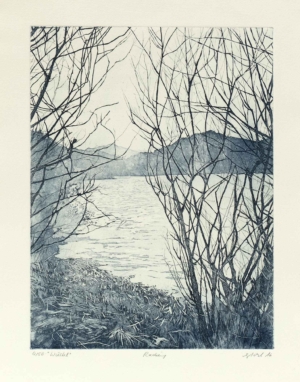 SUSANNE POHL, WIESTAL - 2016, Radierung, 39 x 29,5 cm (53,5 x 39 cm) Pohl Susanne