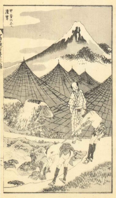BLICK AUF DEN FUJI VON DER PROVINZ KAI AUS - 1849 aus 100 Ansichten des Berges Fuji, Japanischer Holzschnitt, 22,5 x 15,3 cm Hokusai Katsushika