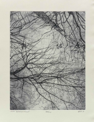 BUCHECKERNHIMMEL Pohl Susanne