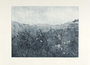 IM NORDEN DES SÜDENS - 2021, Radierung, 29,7 x 39,3 cm Pohl Susanne