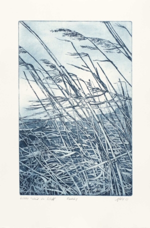 WIND IM SCHILF - 2022, Radierung, 29,7 x 19,5 cm Pohl Susanne