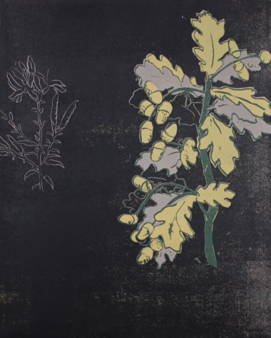 SPRAYS OF OAK LEAVES AND DYER'S GREENWEED AFTER DA VINCI, Linolschnitt auf Papier auf Holzkörper, 50 x 40 x 3 cm Omomi Yoko