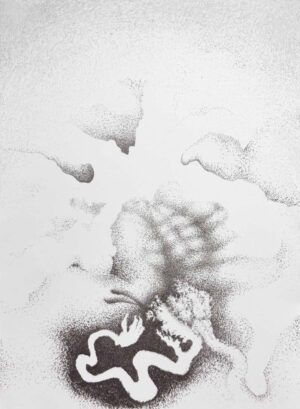 IM MOOR - 2024, Lithographie, Auflage 17+3, 38 x 28 cm Gruber Erich