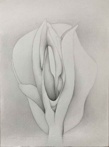 KEIMUNG - 2020, Bleistift auf Papier, 38 x 28 cm, EG20024 Gruber Erich