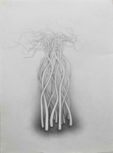 WIESENSTÜCK - 2023, Bleistift auf Papier, 38 x 28 cm, EG23029 Gruber Erich