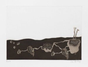 ERDE I - 2025, Farbaquatintaradierung, Ex. E.d.é, 29,8 x 41,2 cm (50 x 60 cm) Möseneder Eva