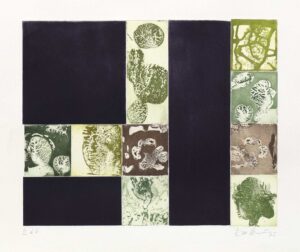HORTUS FRACTALIS - 2025, Farbaquatintaradierung, Aussprengtechnik, Ex. E.d.é, 39,8 x 48,8 cm (53,9 x 78,3 cm) Möseneder Eva