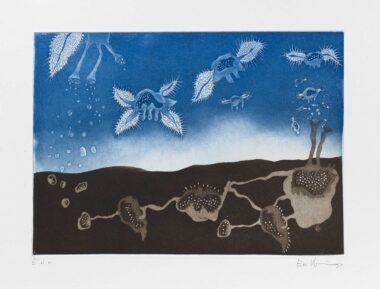 METAMORPHOSE HIMMEL UND ERDE III - 2025, Farbaquatintaradierung, Ex. E.d.é, 29,8 x 41,2 cm (50 x 60 cm) Möseneder Eva