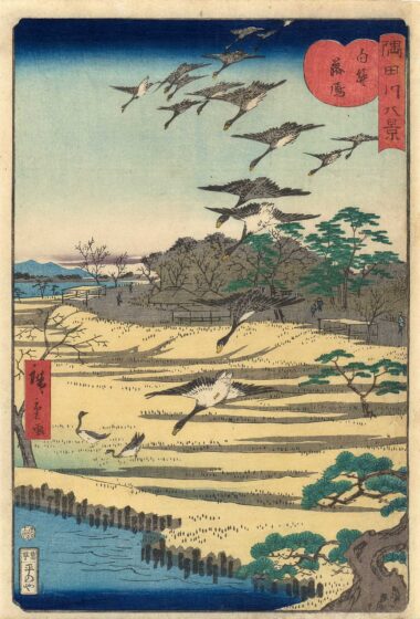 STURZFLUG DER WILDGÄNSE BEI SHIRAHIGE - 1861, aus "Acht Ansichten des Sumida-Flusses", Japanischer Farbholzschnitt, 35,5 x 24,2 cm Hiroshige Utagawa