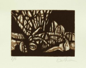 aus der Serie IM MOOR - 2024, Mokulithographie, Exemplar: 2/5, ca. 13 x 18 cm (36 x 26 cm) Möseneder Eva