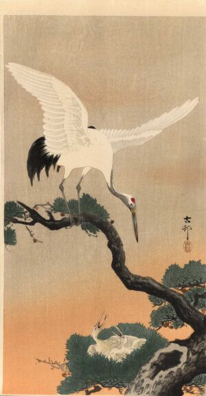 OHARA KOSON, JAPANISCHER KRANICH AUF EINEM KIEFERNZWEIG - ca. 1910-15, Japanischer Farbholzschnitt, 36,3 x 19 cm Koson Ohara