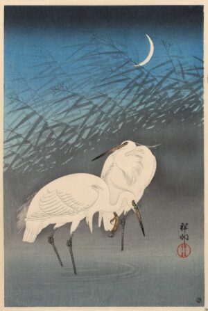 OHARA KOSON, ZWEI REIHER IM SCHILF - um 1932-41, Japanischer Farbholzschnitt, 38,5 x 25,5 cm Koson Ohara