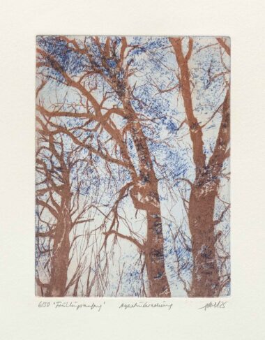 FRÜHLINGSANFANG - 2025, Aquatintaradierung, 19,7 x 14,7 cm (39,6 x 26,8 cm) Pohl Susanne