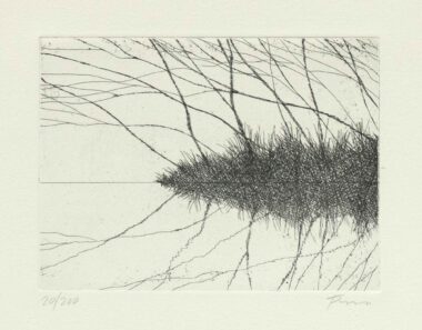 GESTRÜPP, Radierung, Ex.: 20/200, 12 x 16 cm (29,5 x 39,5 cm) Flora Paul