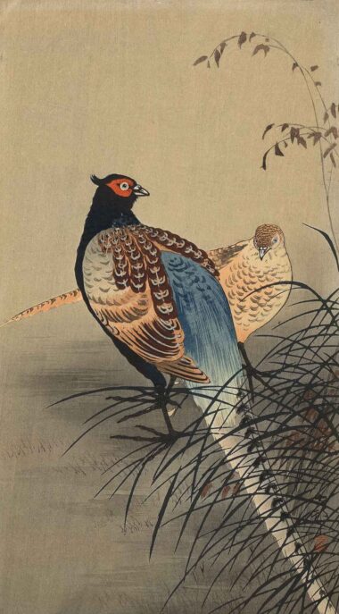 FASANENPAAR - ca. 1910/20, Japanischer Farbholzschnitt, 32,9 x 18,4 cm Koson Ohara