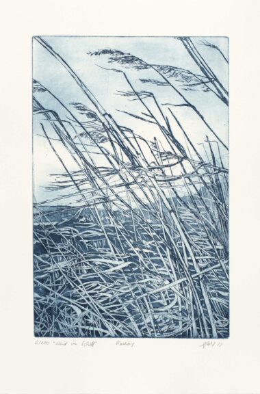 WIND IM SCHILF - 2022, Radierung, 29,7 x 19,5 cm Pohl Susanne