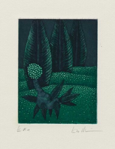 FEDERTIER - 1996, Radierung, Exemplar: E.d.a, 11,8 x 8,9 cm (33,7 x 24,8 cm) Möseneder Eva