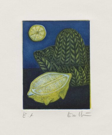 ZITRONENTIER - 1997,
Radierung, Exemplar E.A, 11,8 x 8,9 cm (34,4 x 27 cm) Möseneder Eva