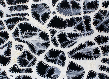 DUNKELFELD WEGNETZ II - 2005, Öl auf Leinwand, 80 x 110 cm Damisch Gunter