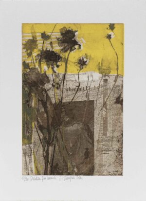 Staufner Martin