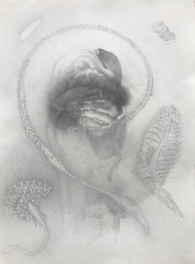 NATURSTUDIE - 2025, Bleistift, Farbstift, Tusche auf Papier, 52 x 38 cm, EG23031 Gruber Erich
