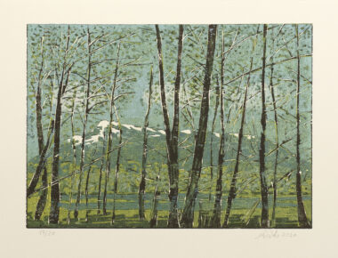 FRÜHLING - Einzelblatt aus Mappe VIER JAHRESZEITEN - UNTERSBERG - 2020, Farbholzschnitt, Exemplar: 10/20, 30 x 41,8 cm (39 x 53,7 cm) Richter Wolfgang
