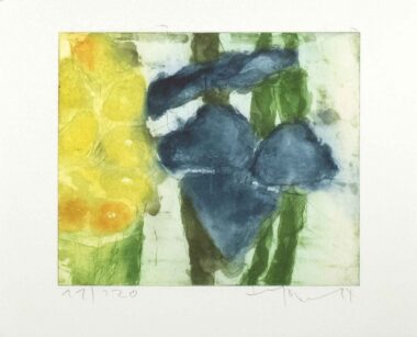 IRIS UND RAPS - 2014, Farbradierung, 18,8 x 22,5 cm (25,2 x 31,7 cm) Fussmann Klaus