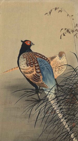 OHARA KOSON, FASANENPAAR - um 1910/20, Japanischer Farbholzschnitt, 32,9 x 18,4 cm Koson Ohara