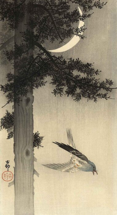 OHARA KOSON, OHNE TITEL - um 1910, Japanischer Farbholzschnitt, 36,1 x 18,9 cm Koson Ohara